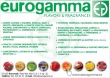 Eurogamma Flavors & Fragrances Srl 