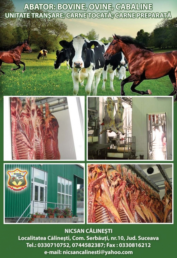 Nicsan Calinesti srl