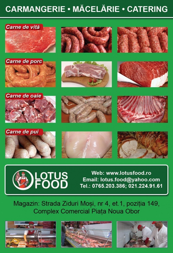 Lotus Food srl