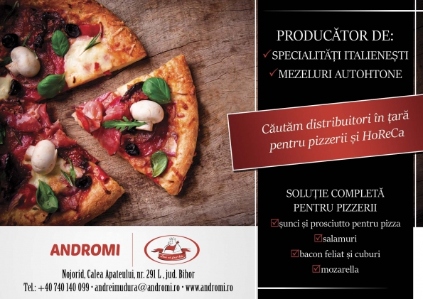 Andromi Com Srl - Pizzerii si Horeca