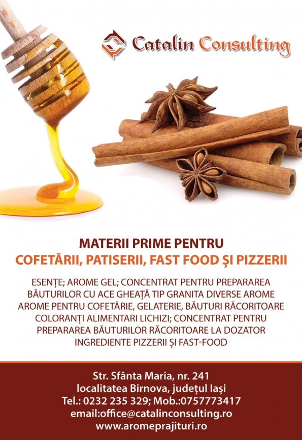 Catalin Consulting Srl