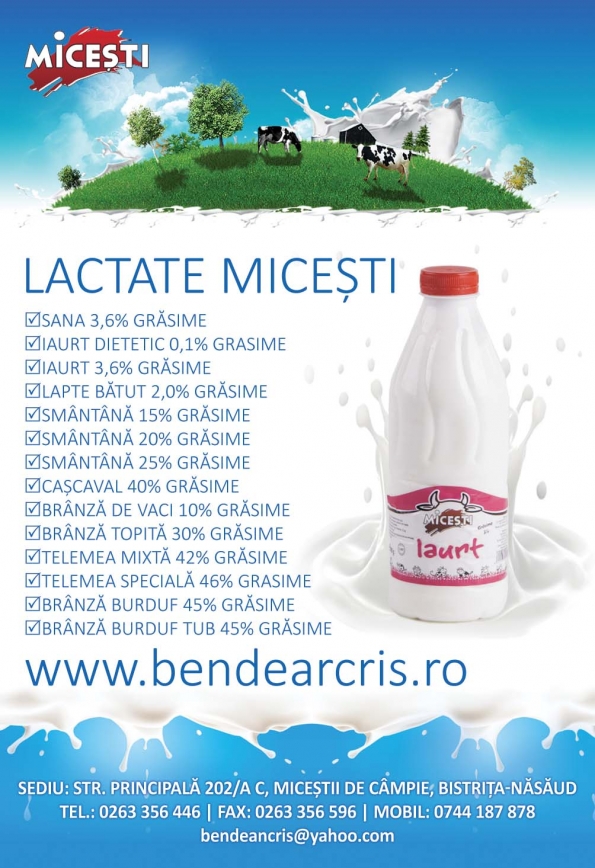 Bendearcris Prodcom Srl