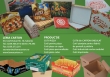 Lema Carton srl