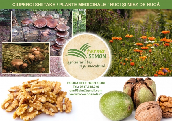 Ferma Simon - Agricultura Bio si Permacultura