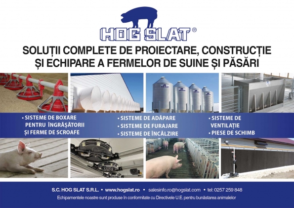 Hog Slat Srl