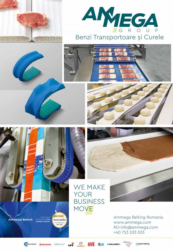 Ammega Belting Romania Srl