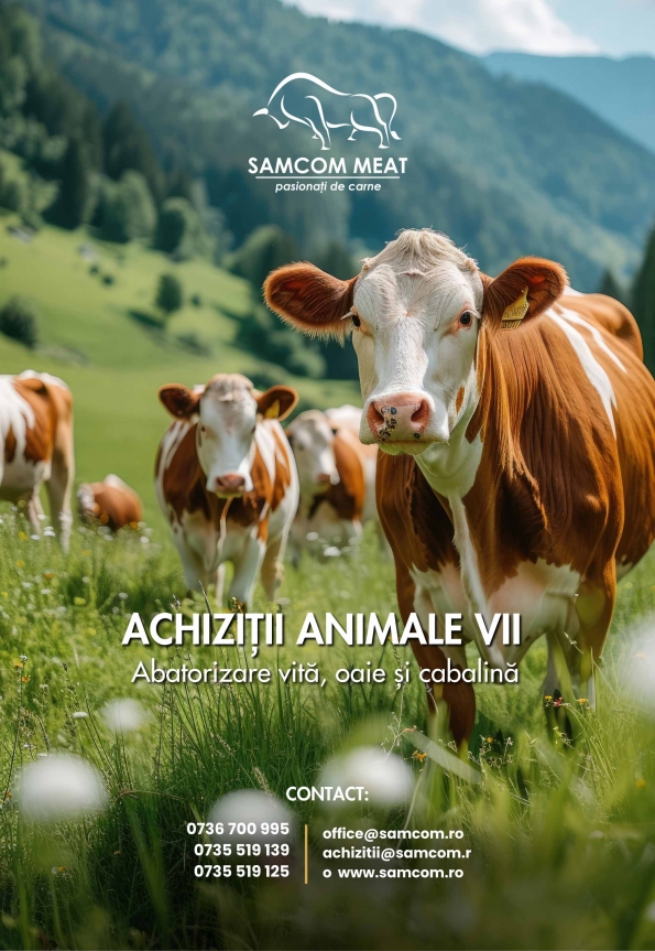 Samcom Meat Srl