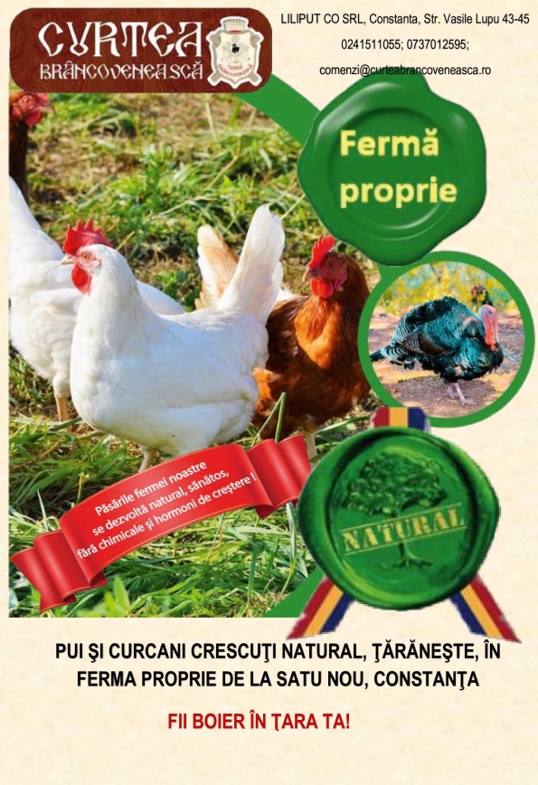 Liliput Co Srl  -  Curtea Brâncovenească
