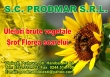Prodmar