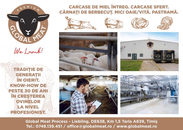 Global Meat Process Srl